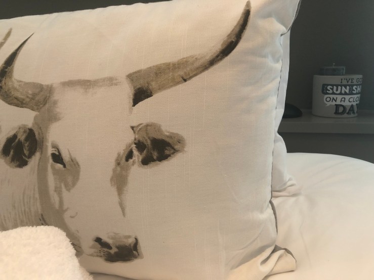 A Glimpse of Hip&nbsp;Windhoek