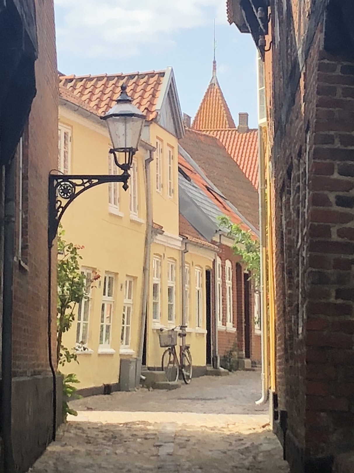 Ribe sunshine