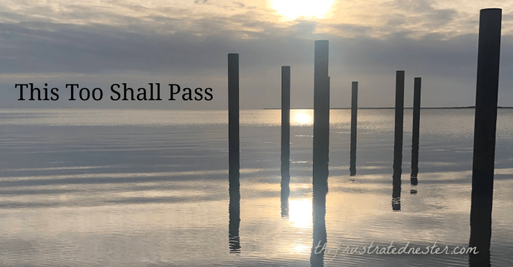 This Too Shall&nbsp;Pass