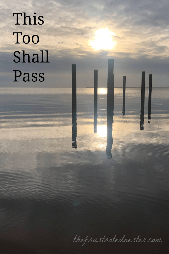 This Too Shall Pass Pin